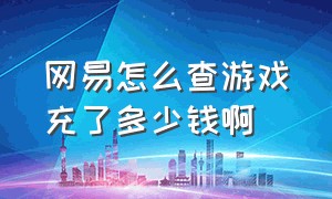 网易怎么查游戏充了多少钱啊