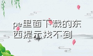 pe里面下载的东西提示找不到