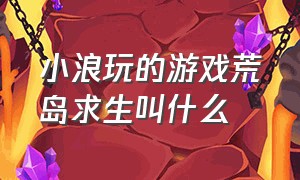 小浪玩的游戏荒岛求生叫什么