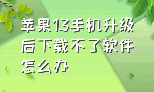 苹果13手机升级后下载不了软件怎么办