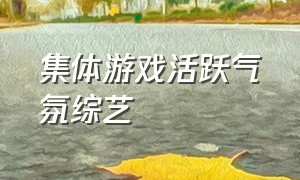 集体游戏活跃气氛综艺