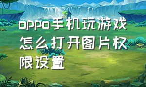 oppo手机玩游戏怎么打开图片权限设置