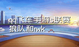 qq飞车手游s联赛狼队和rwk