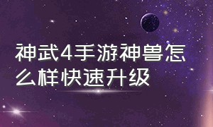 神武4手游神兽怎么样快速升级