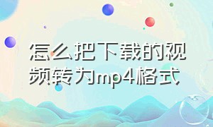 怎么把下载的视频转为mp4格式