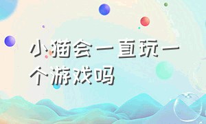 小猫会一直玩一个游戏吗