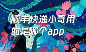 顺丰快递小哥用的是哪个app