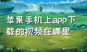 苹果手机上app下载的视频在哪里