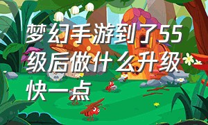 梦幻手游到了55级后做什么升级快一点