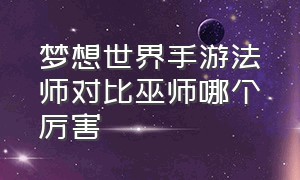 梦想世界手游法师对比巫师哪个厉害