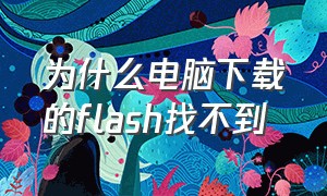 为什么电脑下载的flash找不到