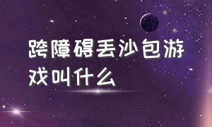 跨障碍丢沙包游戏叫什么