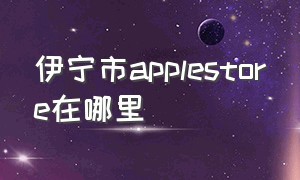 伊宁市applestore在哪里