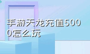 手游天龙充值5000怎么玩