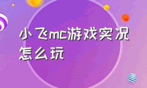 小飞mc游戏实况怎么玩