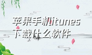 苹果手机itunes下载什么软件