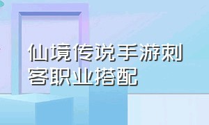 仙境传说手游刺客职业搭配