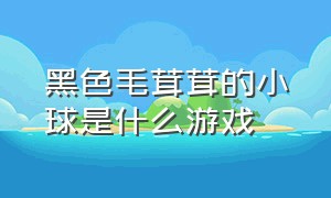 黑色毛茸茸的小球是什么游戏