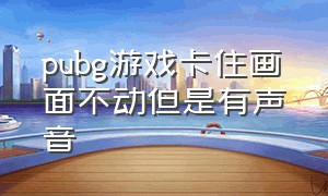 pubg游戏卡住画面不动但是有声音