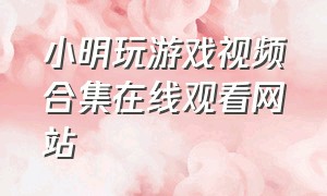 小明玩游戏视频合集在线观看网站