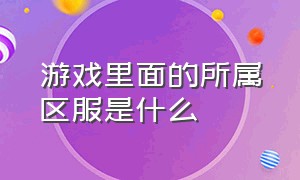 游戏里面的所属区服是什么