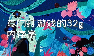 专门打游戏的32g内存条