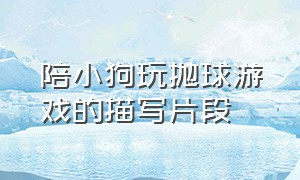 陪小狗玩抛球游戏的描写片段