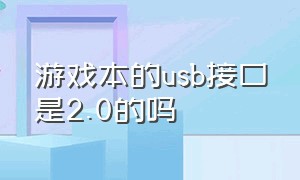 游戏本的usb接口是2.0的吗