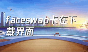 faceswap卡在下载界面