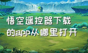 悟空遥控器下载的app从哪里打开