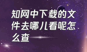 知网中下载的文件去哪儿看呢怎么查