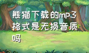 熊猫下载的mp3格式是无损音质吗