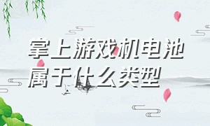 掌上游戏机电池属于什么类型