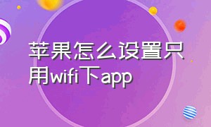 苹果怎么设置只用wifi下app