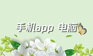 手机app 电脑