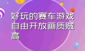 好玩的赛车游戏自由开放画质贼高