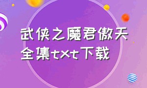 武侠之魔君傲天全集txt下载