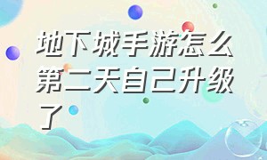 地下城手游怎么第二天自己升级了