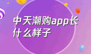 中天潮购app长什么样子