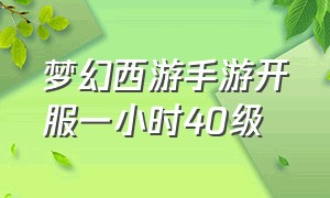 梦幻西游手游开服一小时40级