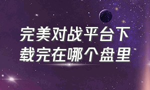 完美对战平台下载完在哪个盘里