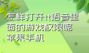 怎样打开tt语音里面的游戏权限呢苹果手机