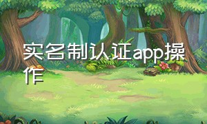 实名制认证app操作