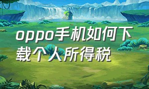 oppo手机如何下载个人所得税