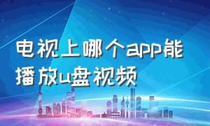 电视上哪个app能播放u盘视频