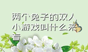 两个兔子的双人小游戏叫什么来着