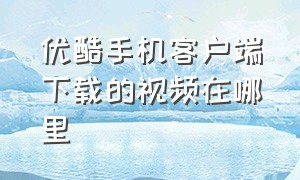 优酷手机客户端下载的视频在哪里