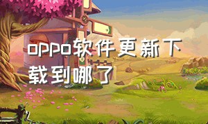 oppo软件更新下载到哪了