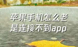 苹果手机怎么老是连接不到app