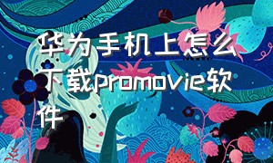 华为手机上怎么下载promovie软件